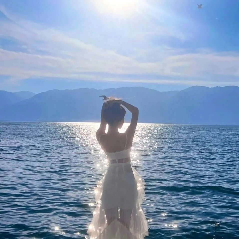 浪漫刺客